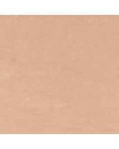 Camel** - G4 Corian Sheet