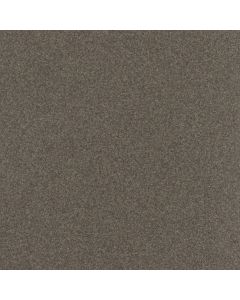 Silt 10x10 - Corian Solid Surface Sample