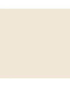 Bisque 5x10 - Corian Solid Surface Sampl