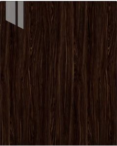 ILLUME CATALINA GUAYANA GLOSS SAMPLE