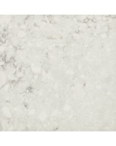 Ashen Gray Leather 10x10 - Corian Quartz