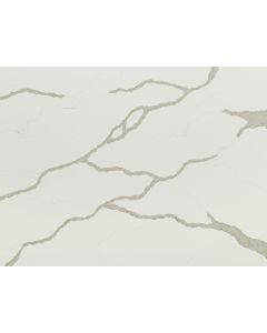 Calacatta Novello 5x10 - Corian Quartz S