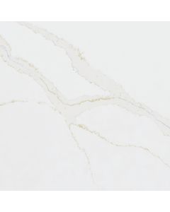 Calacatta Medallion 5x10 - Corian Quartz
